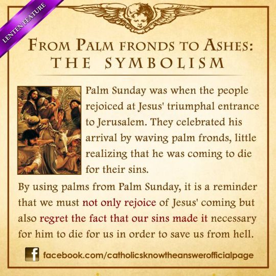 from pam fronds to ashes