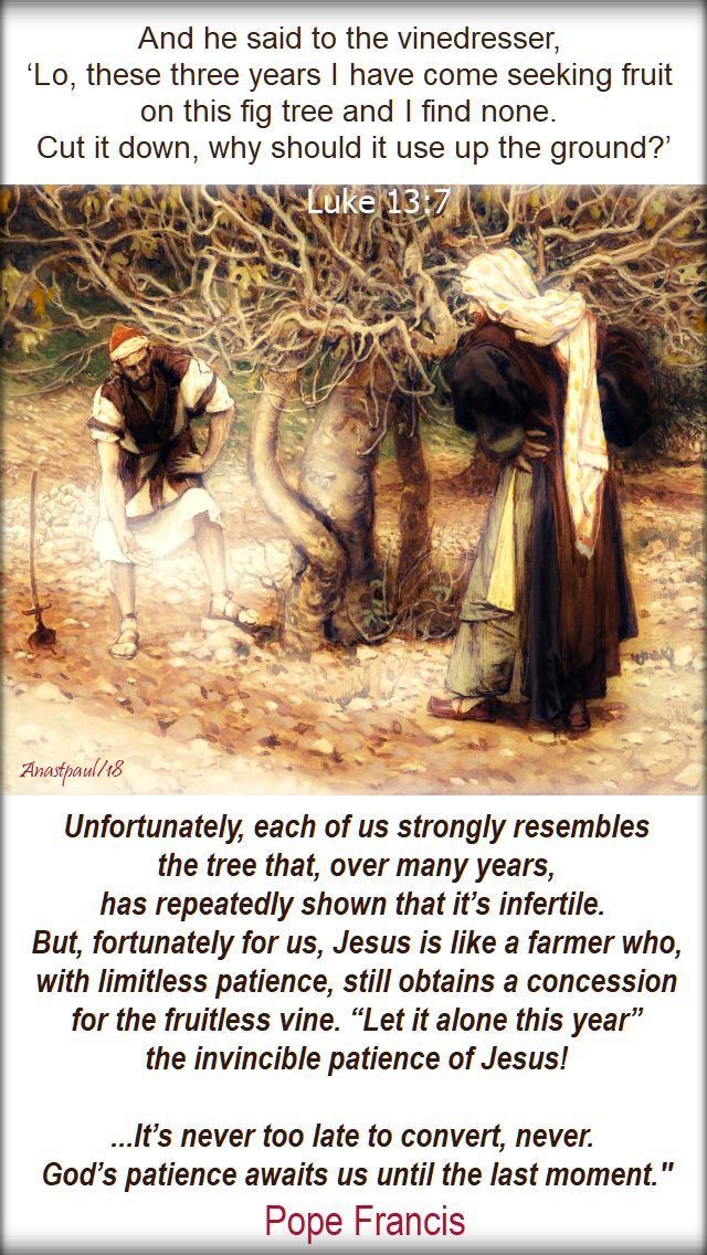 luke 13 7 the fruitless fig tree - unfortunately each of us - pope francis 24 march 2019.jpg