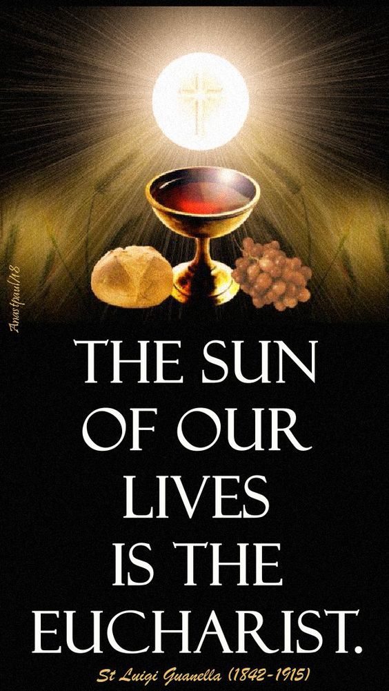 the sun of our lives - st luigi guanella 24 oct 2018.jpg