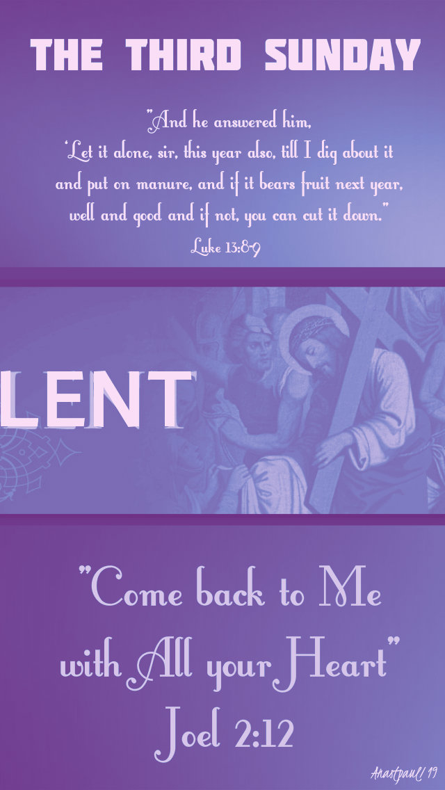 The third sunday - year C 24 march 2019.jpg