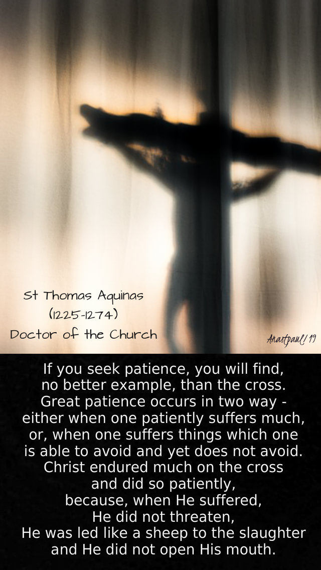 if you seek patience - st thomas aquinas - mon of holy week - 15 april 2019.jpg