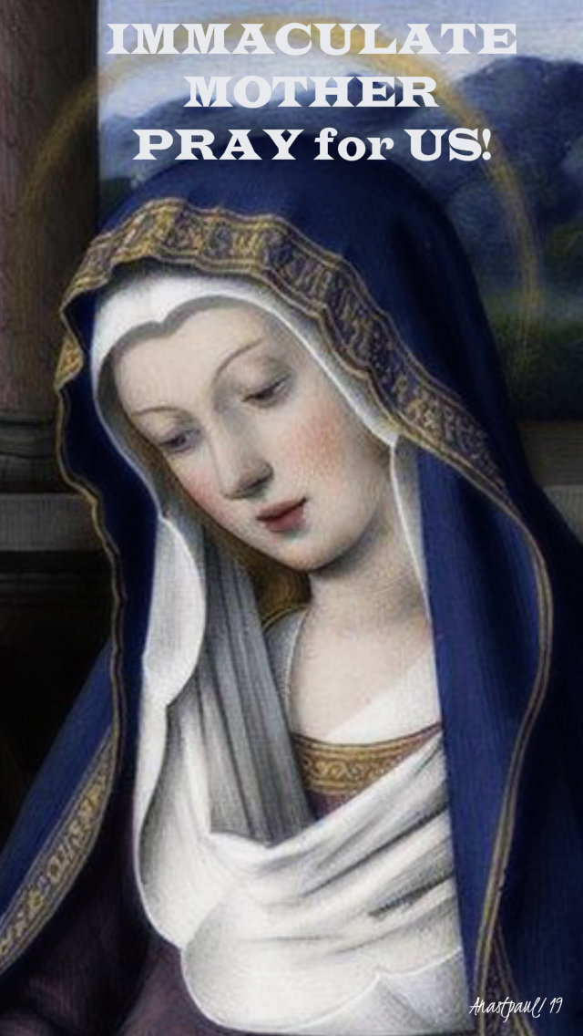 immaculate mother pray for us 13 april 2019.jpg