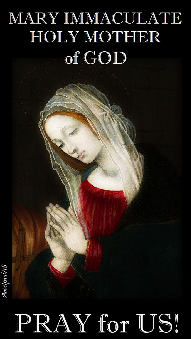 mary immaculate holy mother of god - pray for us - 28 may 2018.jpg