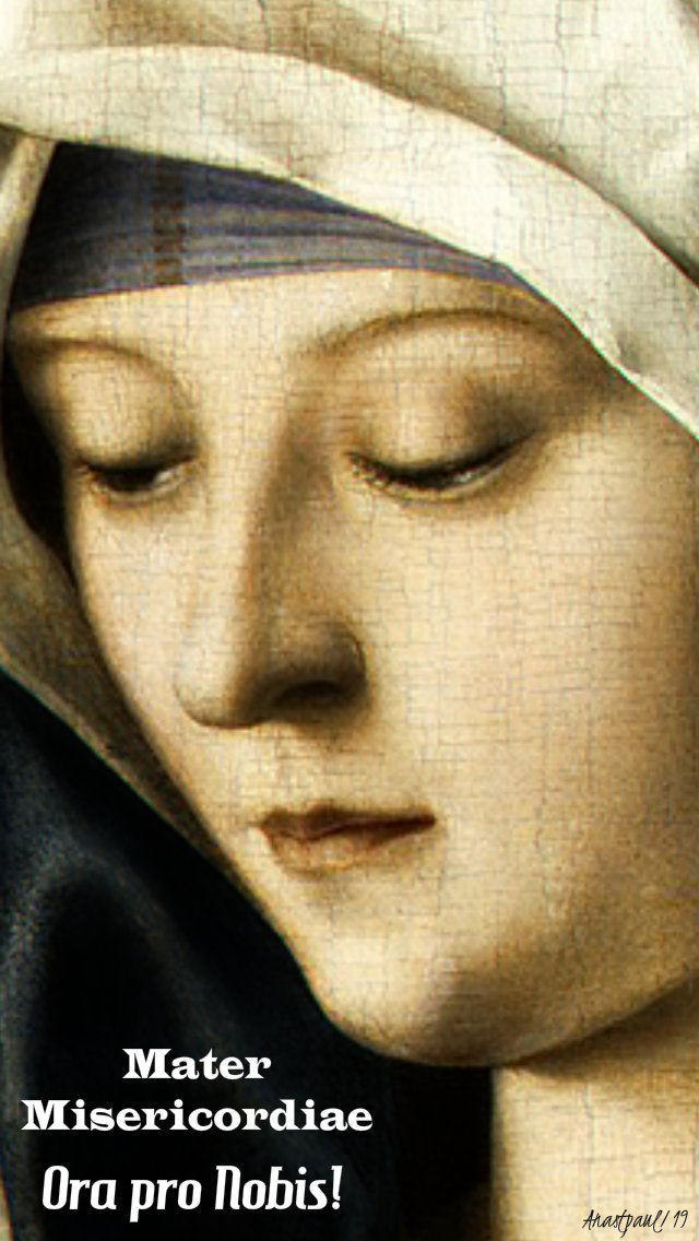 mater misericordiae mother of merct pray for us 8 april 2019.jpg