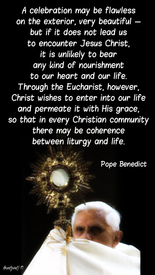 a celebration may be flawless - pope benedict 8 may 2019.jpg