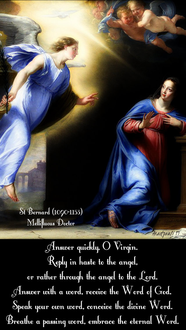 answer quickly o virgin - st bernard - 11 may 2019 homily on the annunciation.jpg