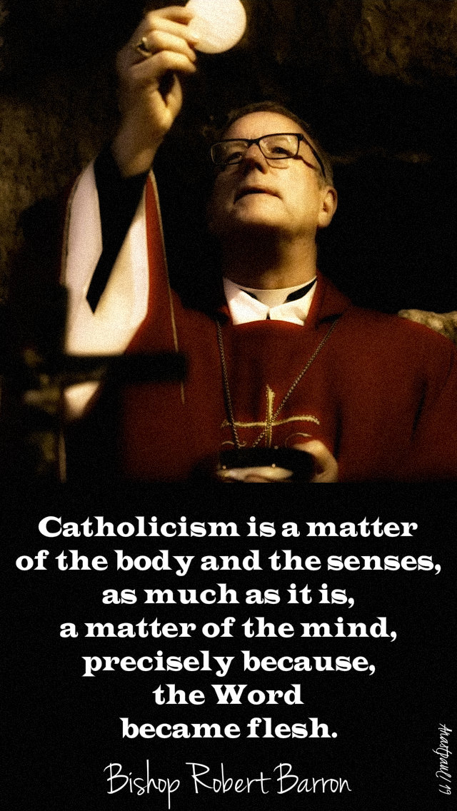 catholicism is a matter of - bishop robert barron 9 may 2019.jpg