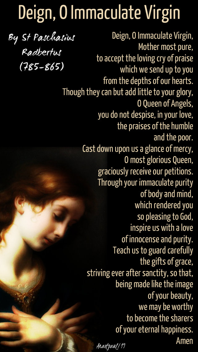 deign o immaculate virgin - st padchasius radbertus 17 may 2019.jpg