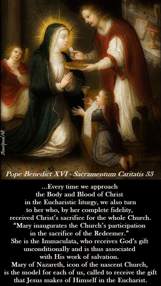 every-time-we-approach-the-body-and-blood-of-christ-pope-benedict-11-may-2018.jpg