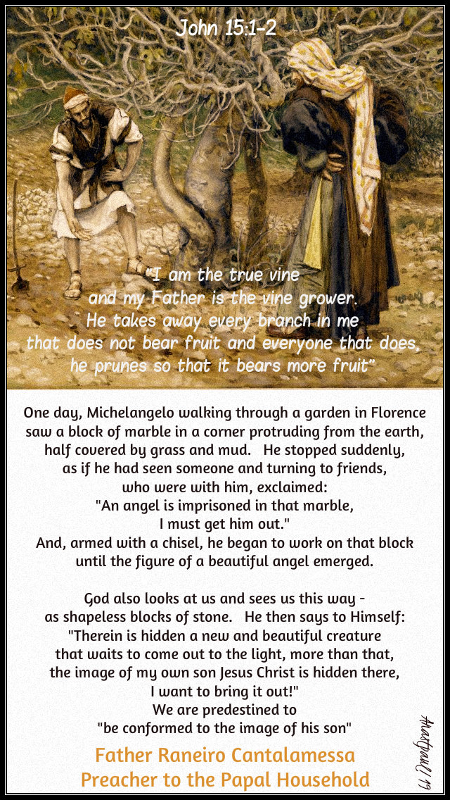 john 15 1-2 i am the true vine - one day michelangelo - fr raneior cantalamessa 22 may 2019.jpg