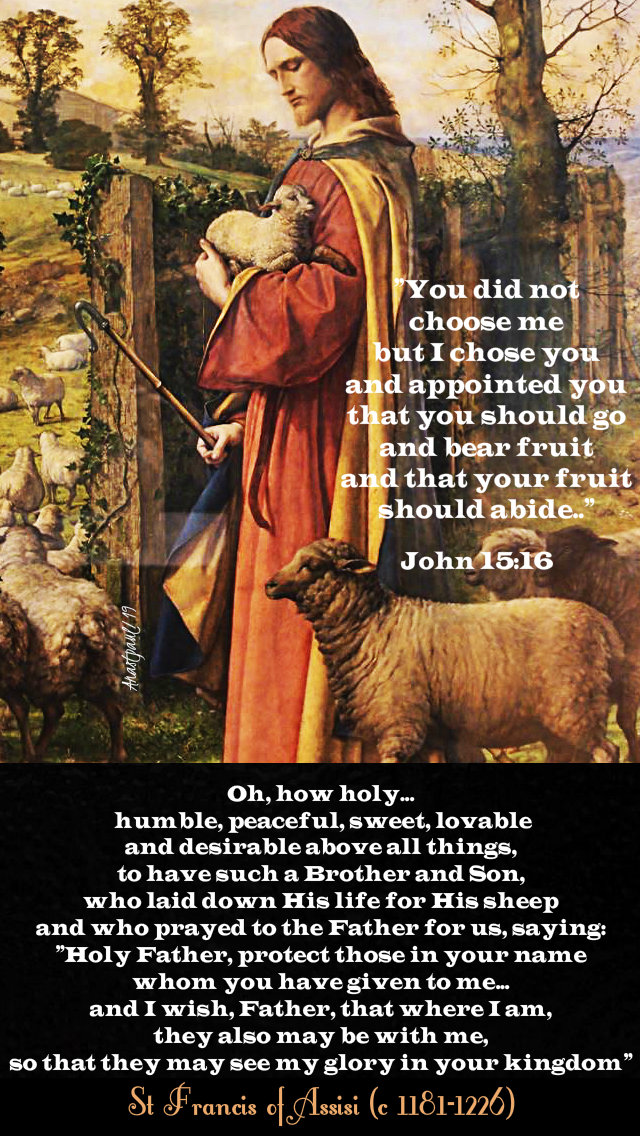 john 15 16 you did not choose me - oh how holy - st francis - 24 may 2019.jpg