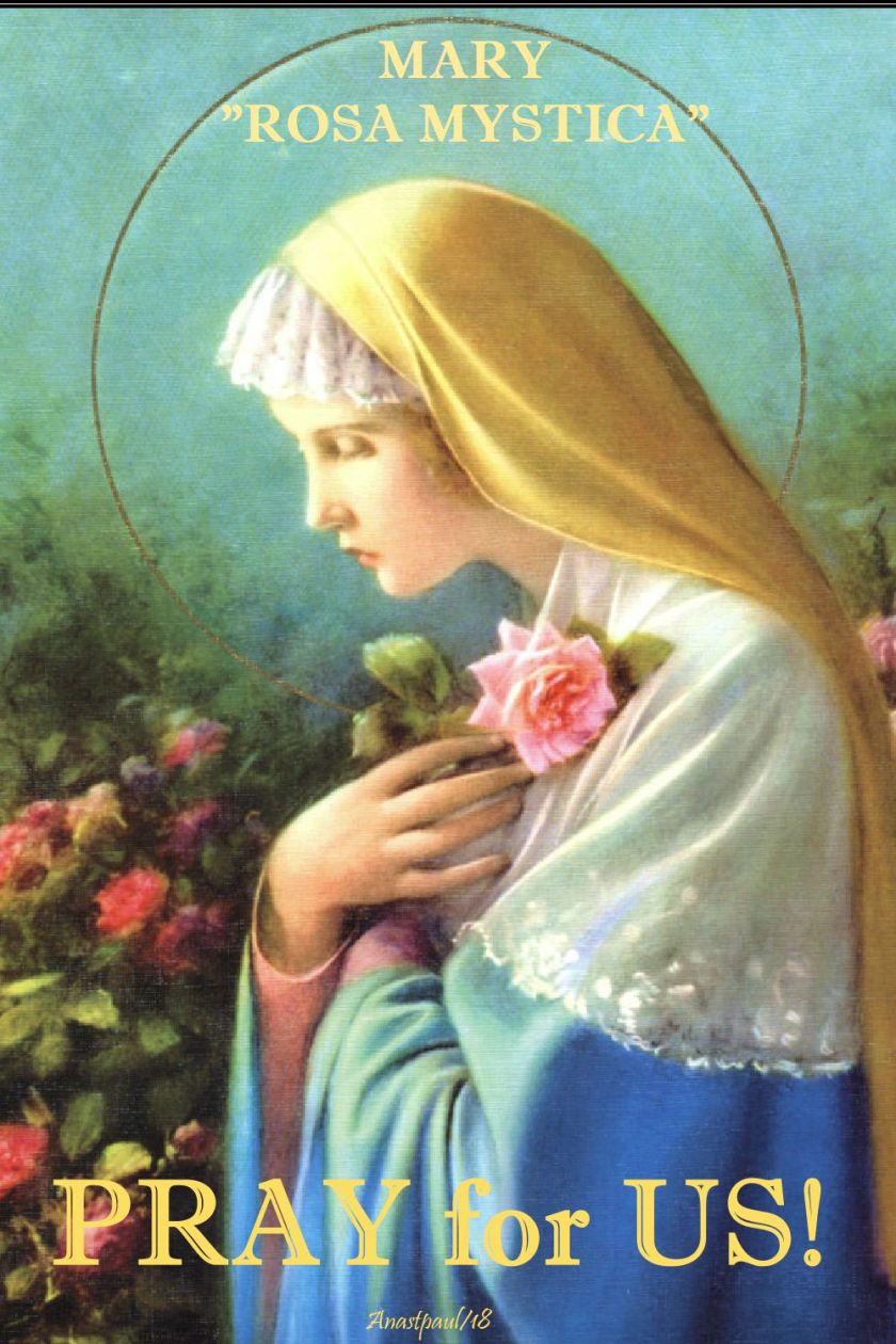 mary-rosa-mystica-pray-for-us-8-may-2018