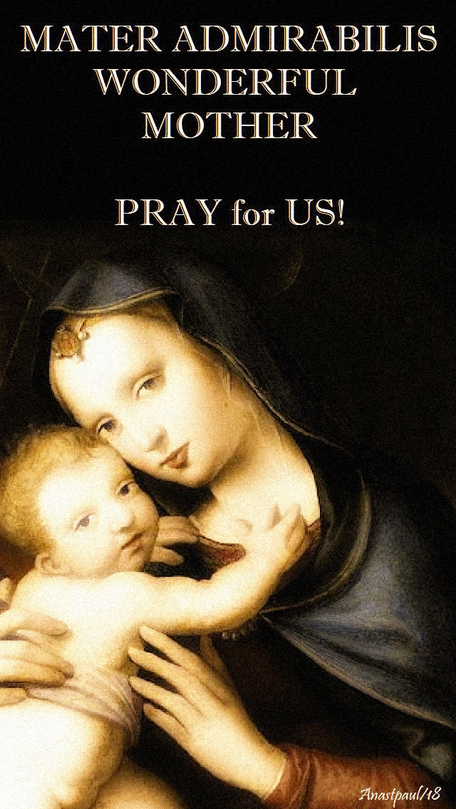 mater-admirabilis-pray-for-us-5-may-2019.jpg