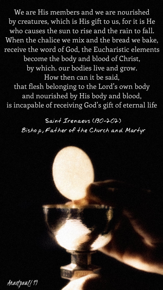 we are his members and we are nourished - st ireneus on the eucharist and resurrection 9 may 2019.jpg