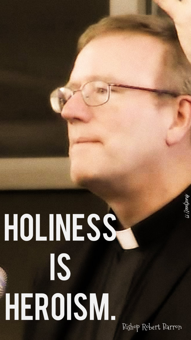 holiness is heroism robert barron 30 june 2019