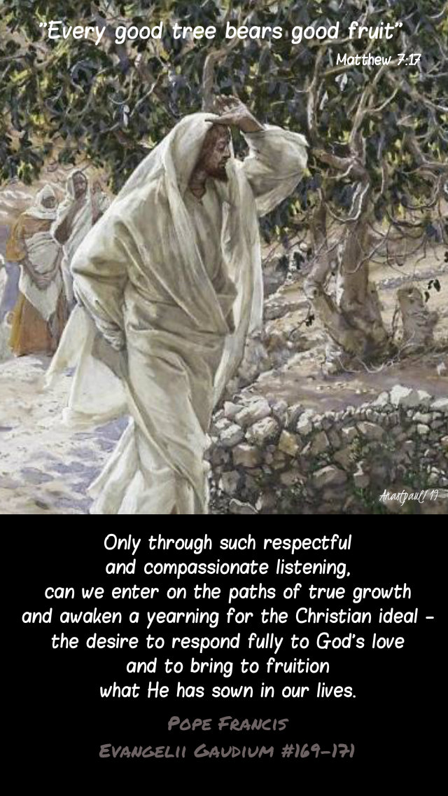 matthew 7 17 every good tree - only through listening - pope francis evanglii gaudium 69-71.jpg