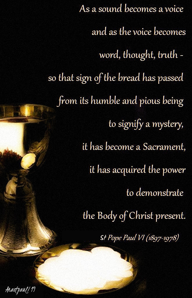 as-a-sound-becomes-a-voice-paul-vi-21 july-2019-sunday-reflection.jpg