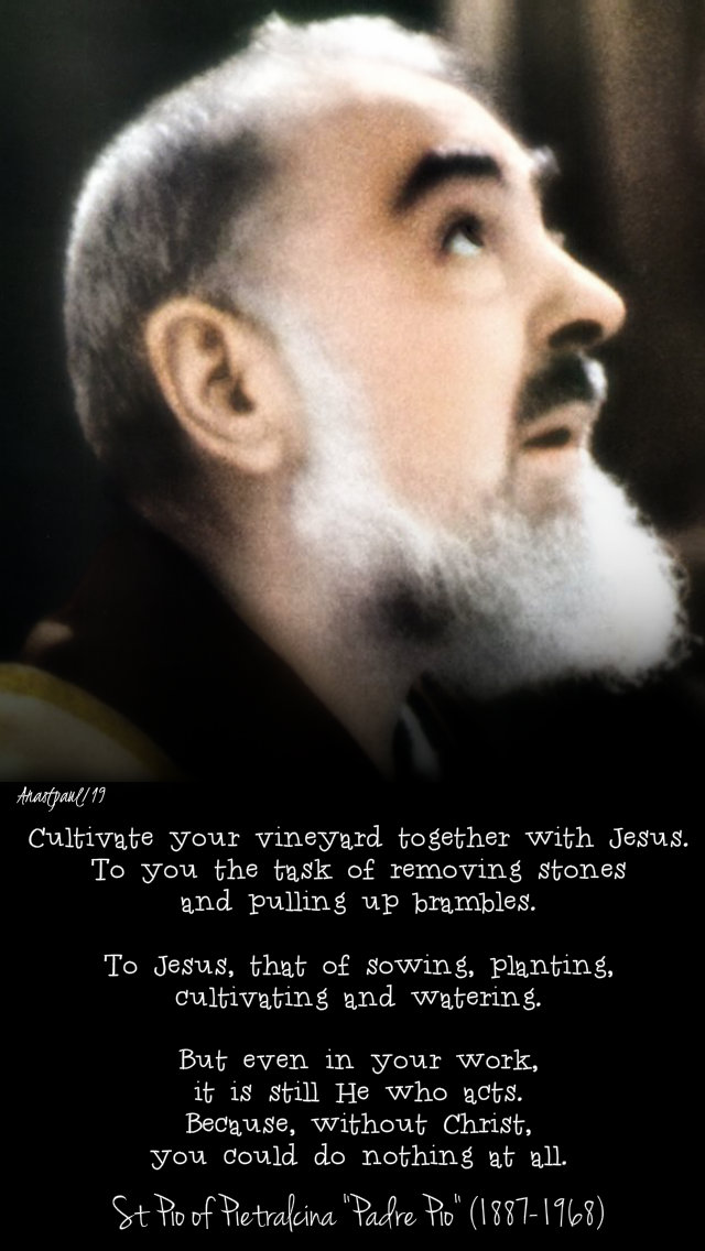 cultivate your vineyard togther with jesus - st padre pio - 26 july 2019.jpg