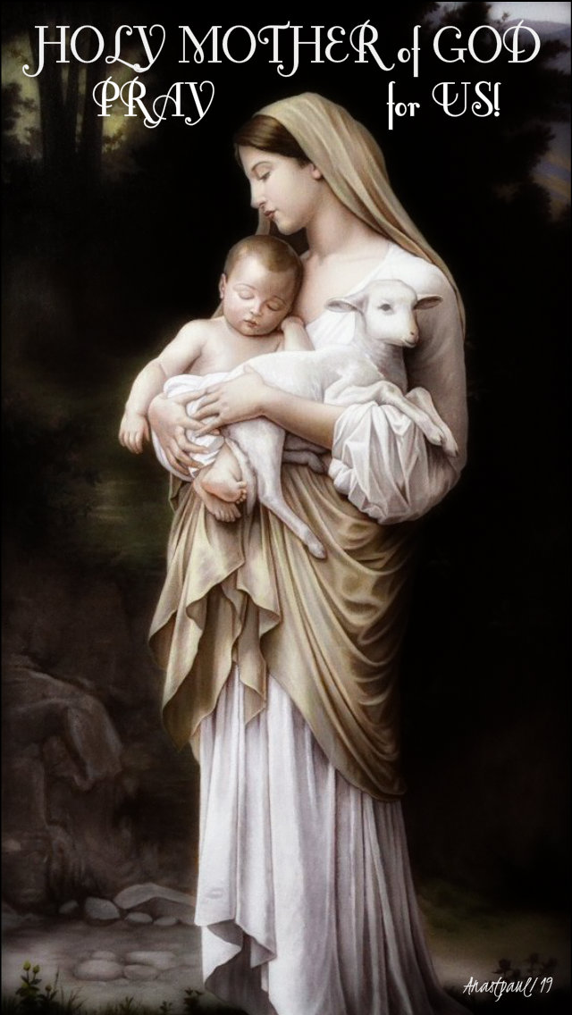 holy mother of god pray for us 23 july 2019