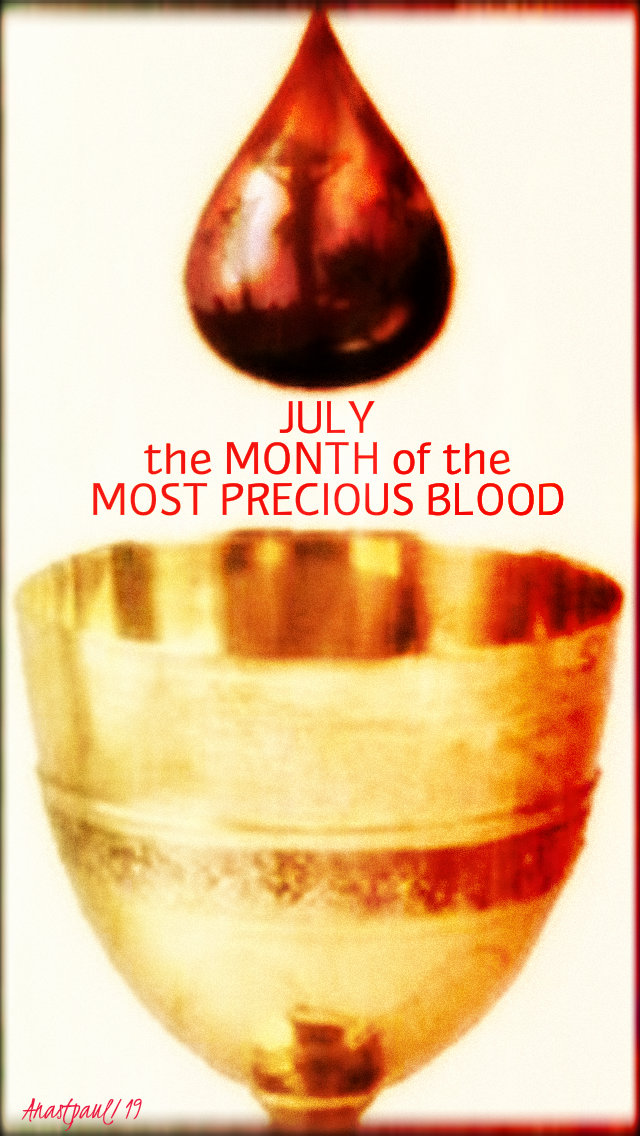 july the month of the most precious blood - 1 july 2019.jpg