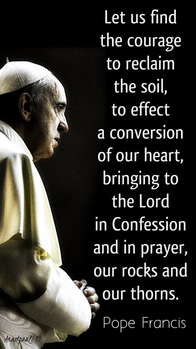 let us find the courage to reclaim the soil - pope francis 24 july 2019.jpg