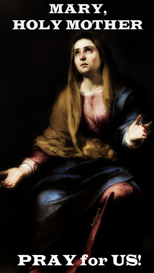 mary holy mother pray for us 20 july 2019
