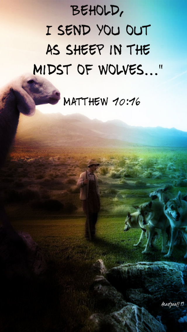 matthew 10 16 behold i send you out as sheep - 12 july 2019