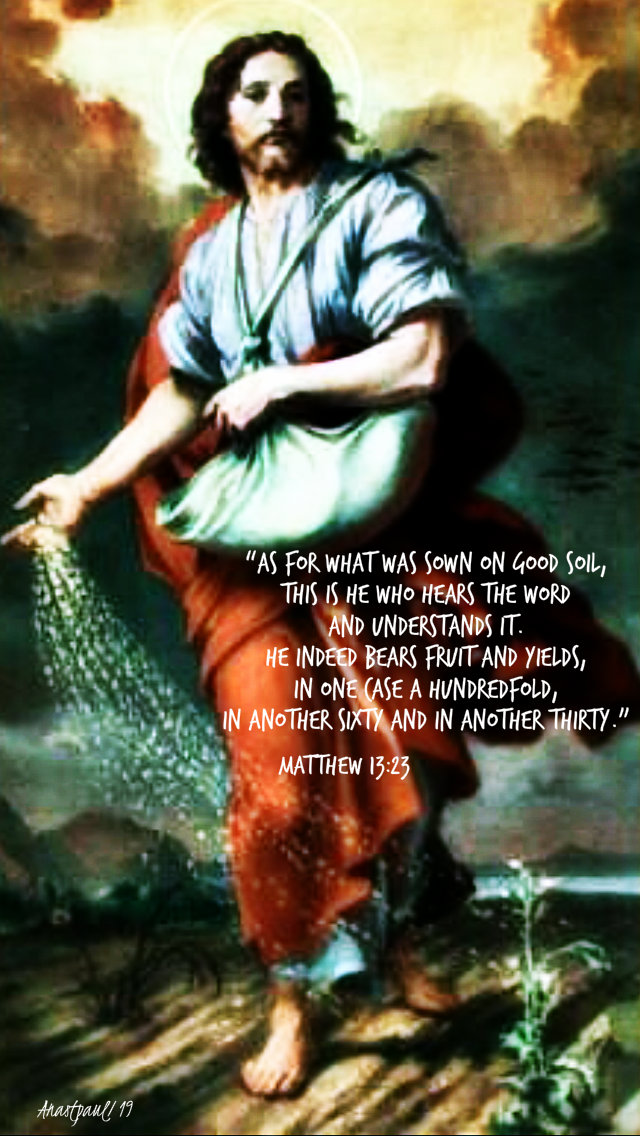 matthew 13 23 as for what wa sown on good soil - 26 july 2019.jpg