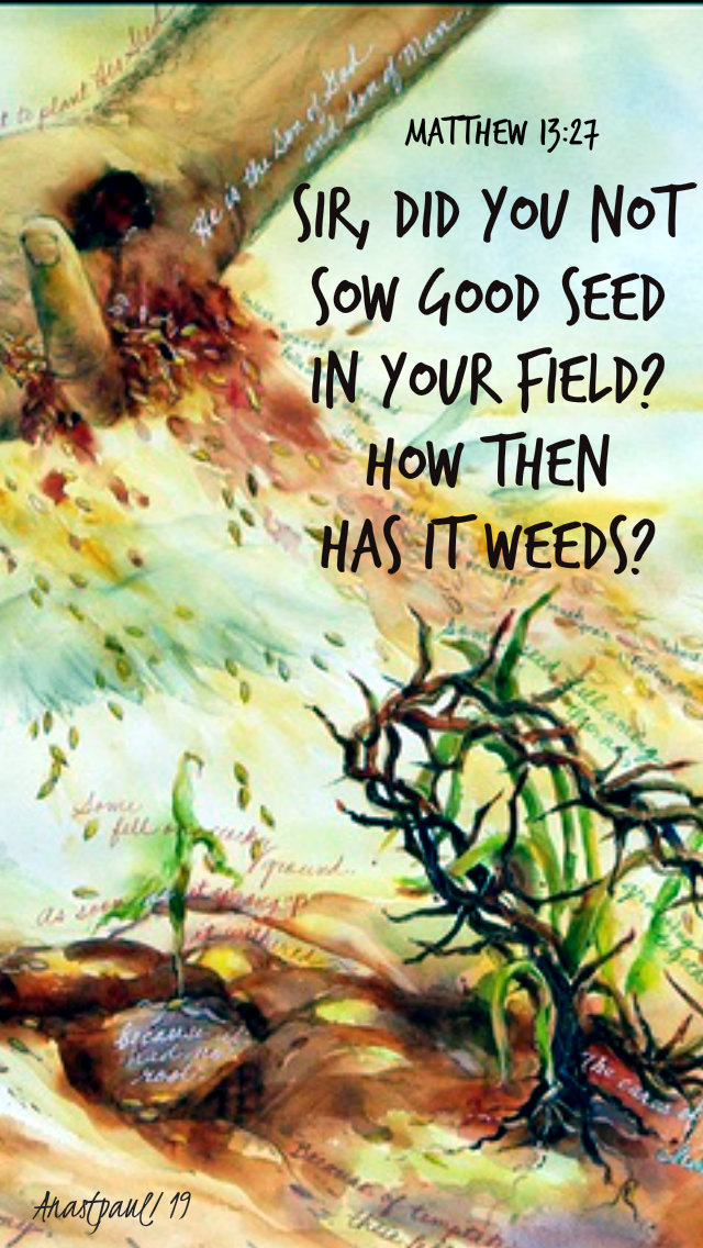 matthew 13 27 sir did you not sow good seed - 27 july 2019 temptation.jpg