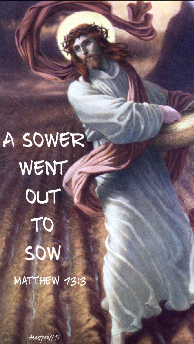 matthew 13 3 - a sower went out to sow 24 july 2019.jpg