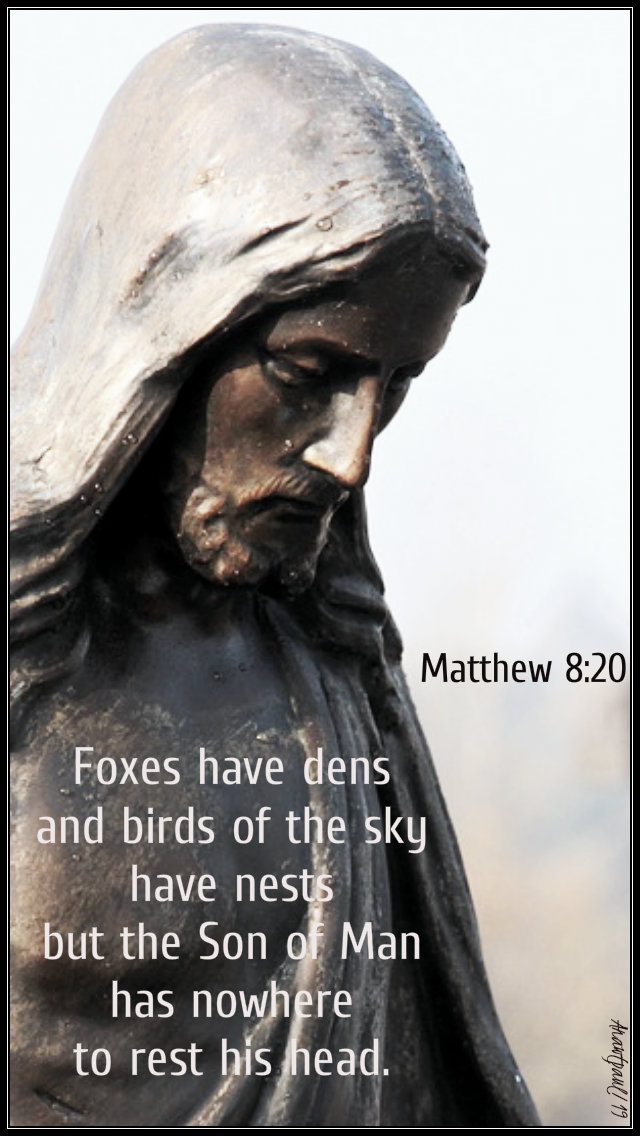 matthew 8 20 - foxes have dens 1 july 2019.jpg