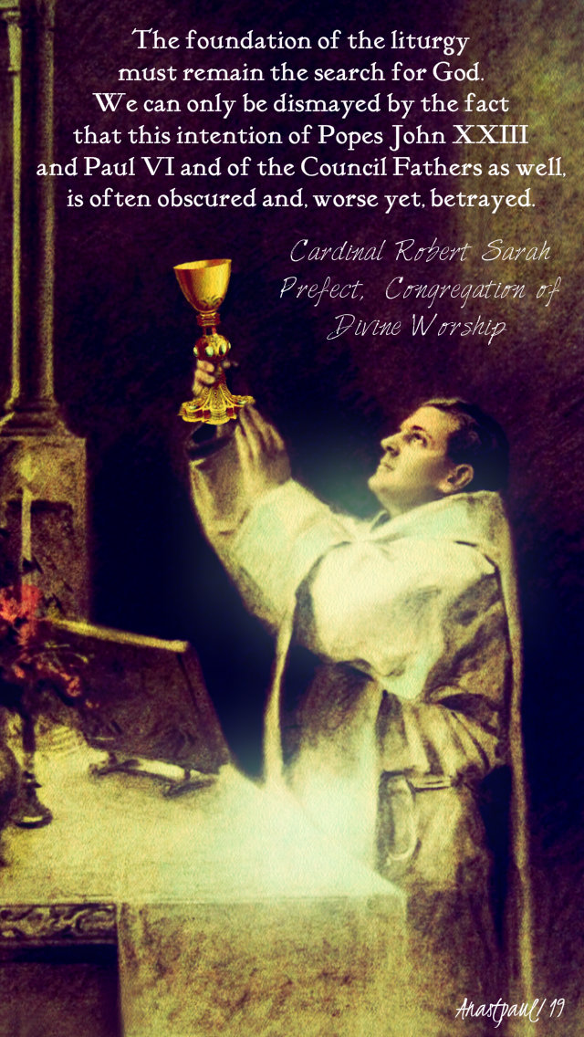 the foundation of the liteurgy - robert sarah 20 july 2019.jpg