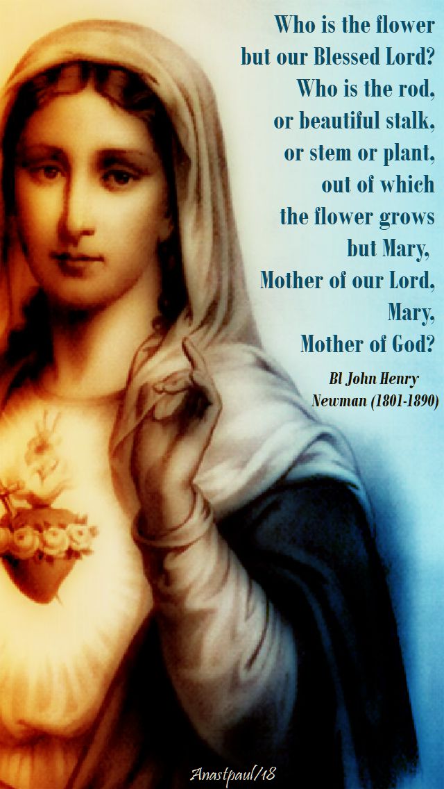who-is-the-flower-but-our-blessed-lord-bl-john-henry-newman-1-may-2018.jpg