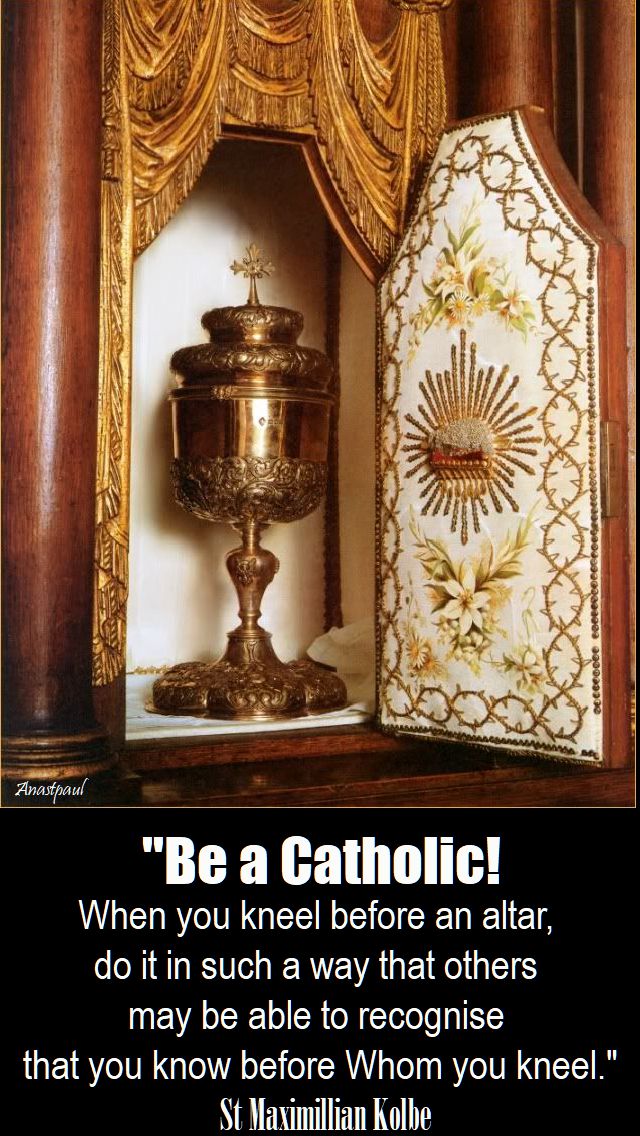 be-a-catholic-st-maximillian-kolbe-14-aug-2017