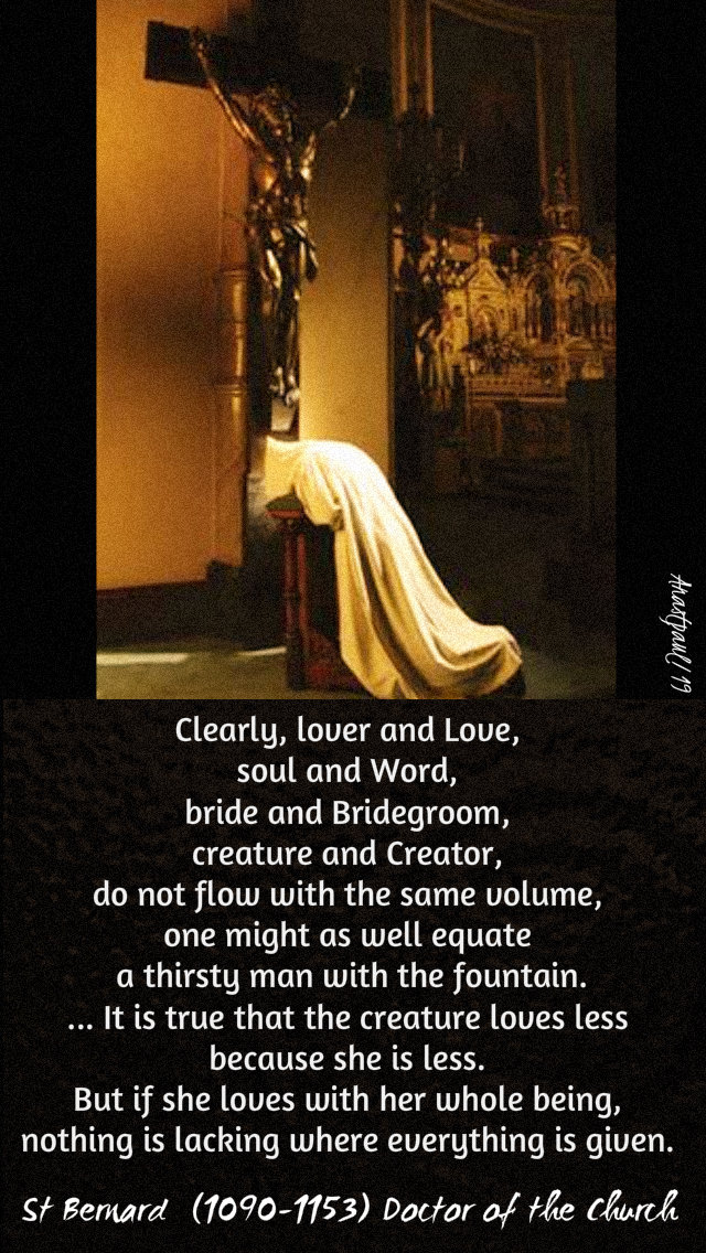 clearly lover and Love - st bernard - 20 aug 2019