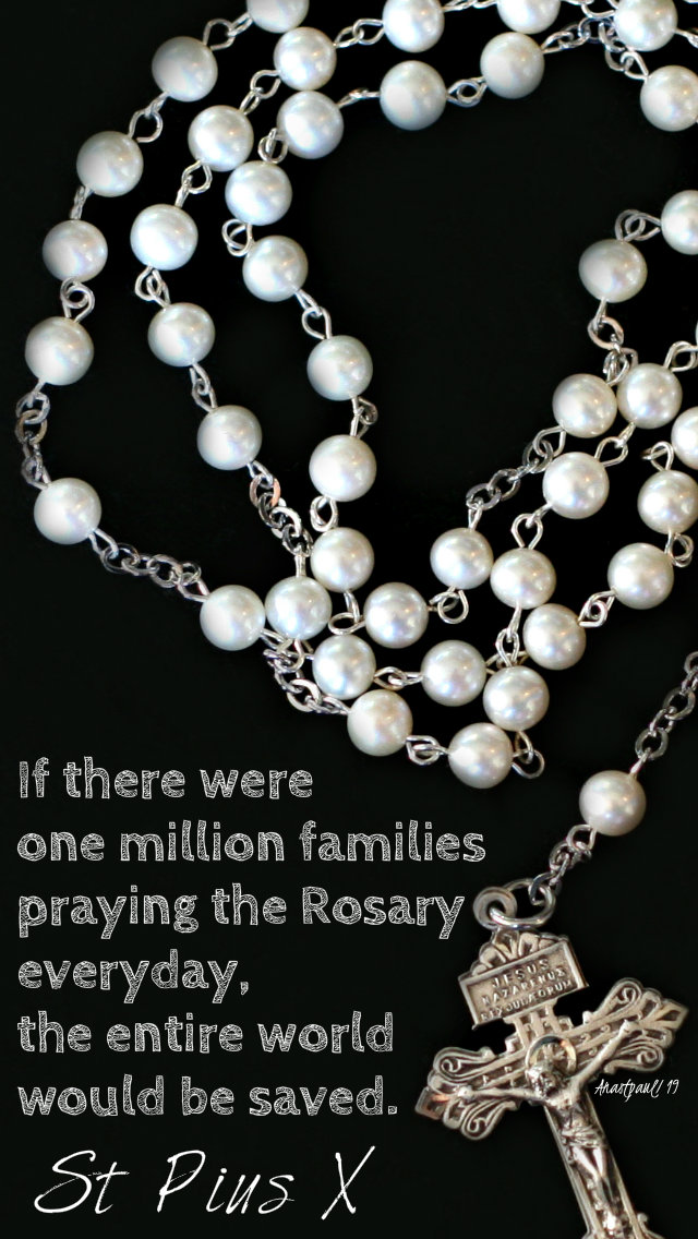 if there were one million families - st pius X 21 aug 2019.jpg