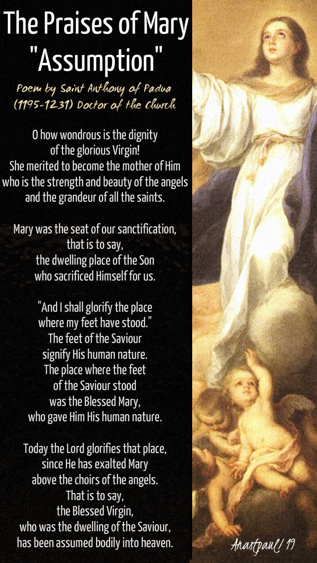 the praises of mary assumption by st anthony of padua 17 aug 2019.jpg