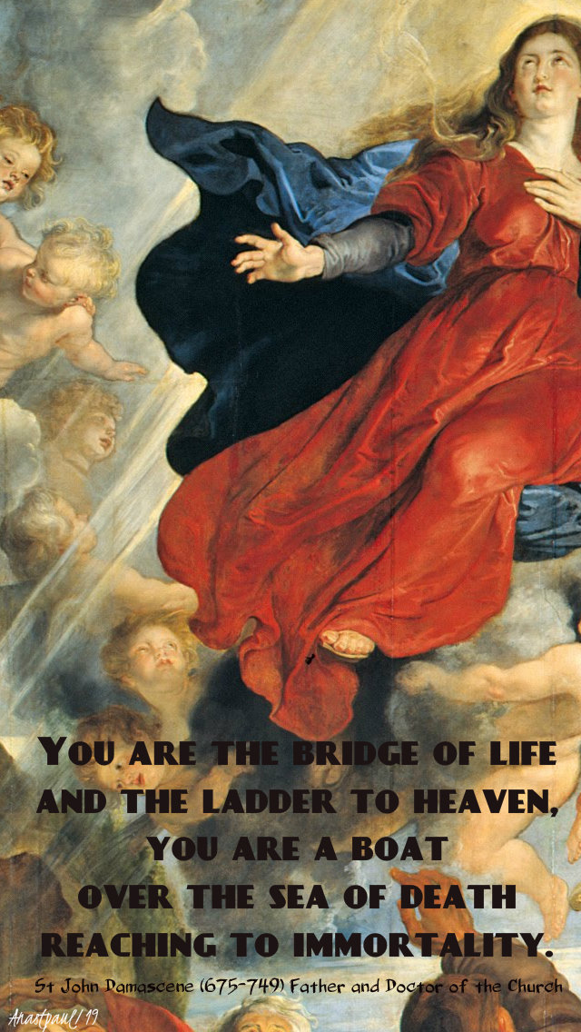 you are the bridge of life and the ladder to heaven 15 aug 2019 assumption.jpg