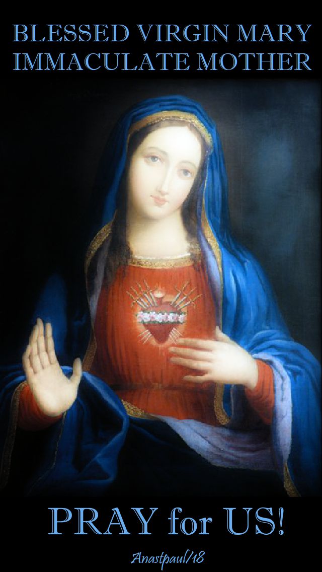 blessed virgin mary immaculate mother - pray for us - 2 sept 2018.jpg