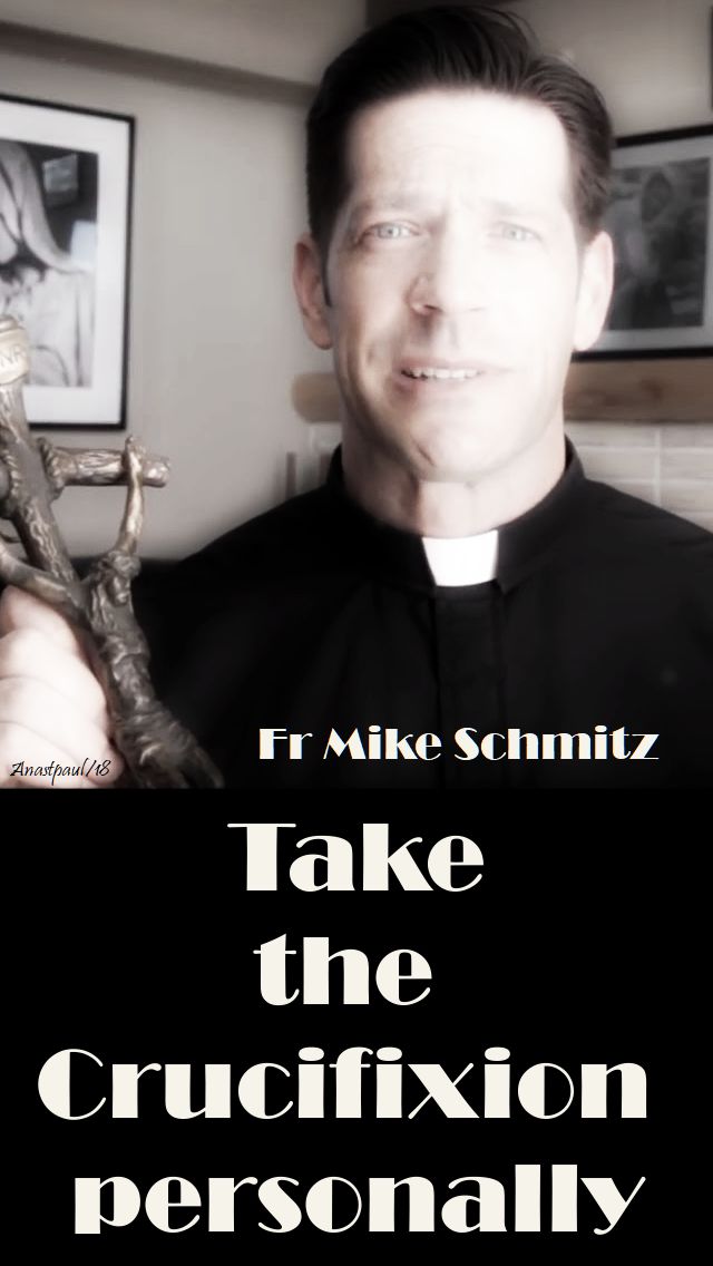 take the crucifixion - fr mike schmitz - 19 april 2018.jpg