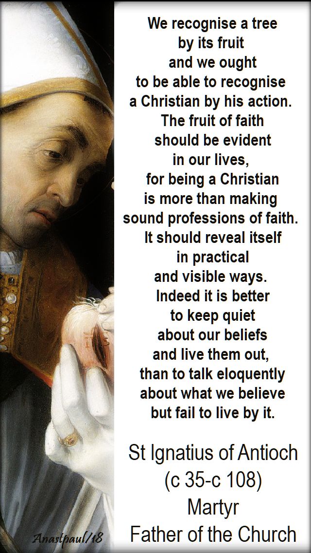 we-recognise-a-tree-by-its-fruit-st-ignatius-of-antioch-speaking-of-living-the-light-no-2-24-sept-2018.jpg