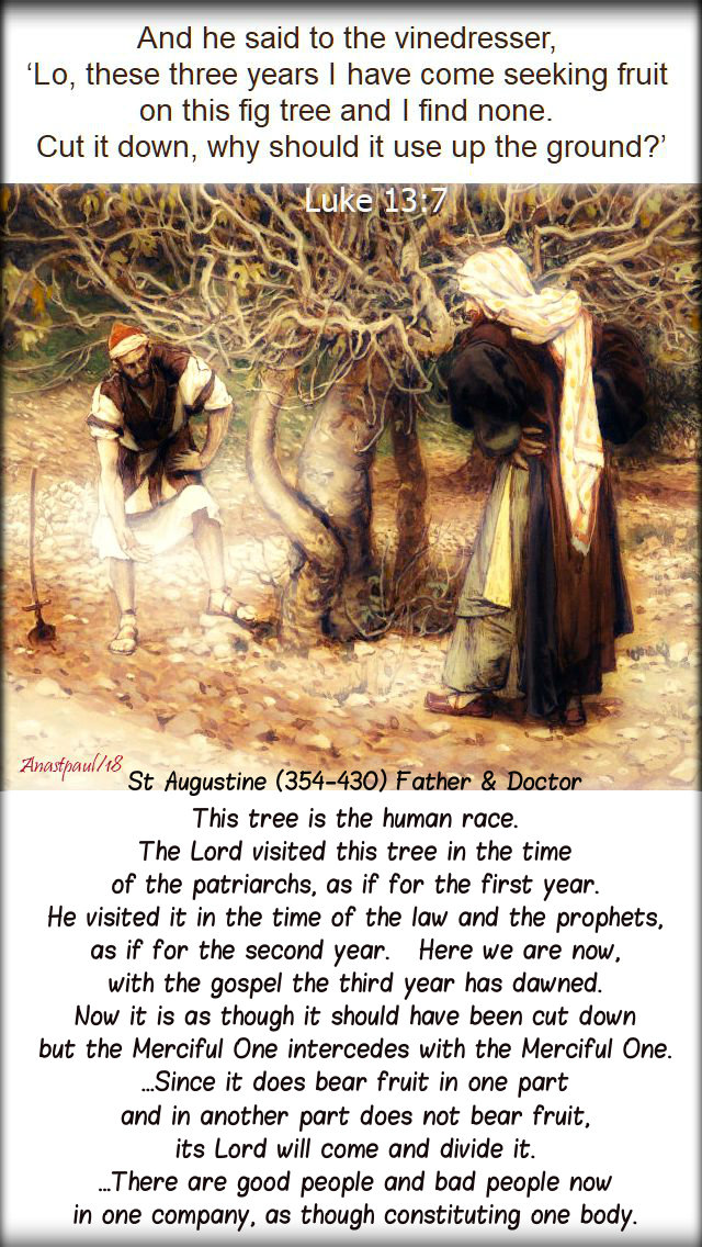 luke-13-7-and-he-said-to-the-vinedresser-ST AUGUASTINE - 26 OCT 2019 THE LORD ALSO .jpg