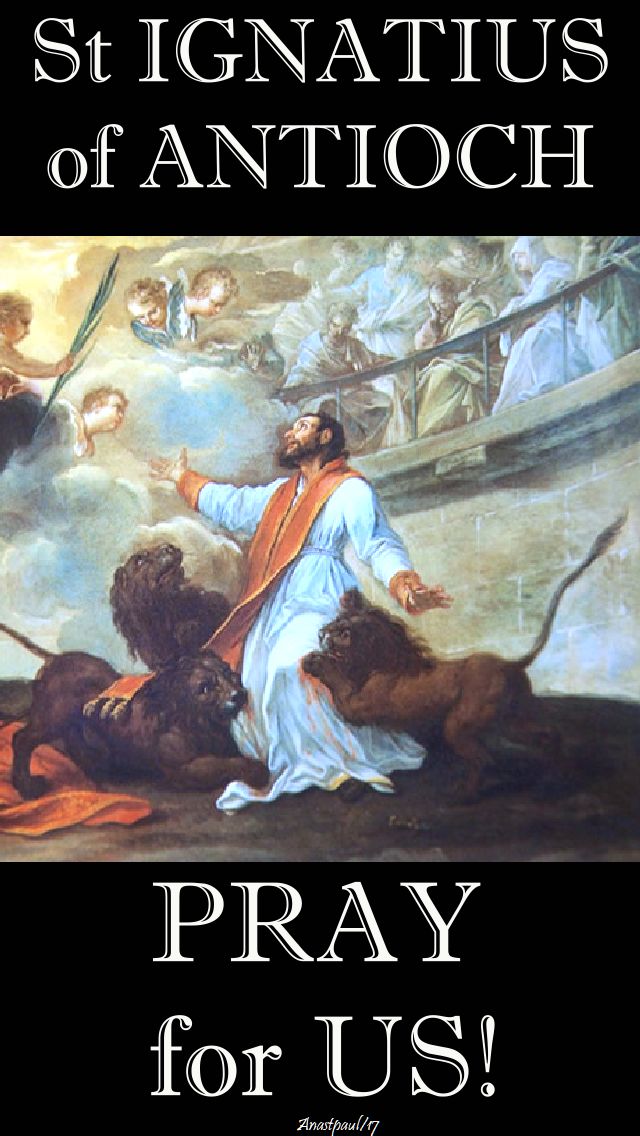 st ignatius of antioch pray for us - 17 oct 2017.jpg