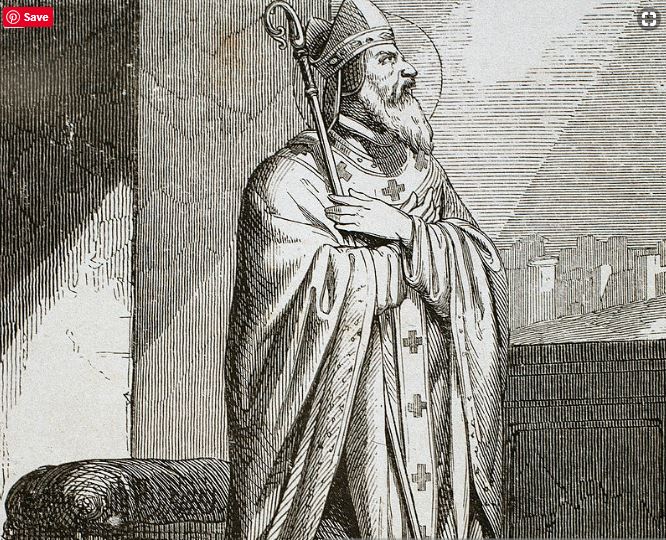 st narcissus snip.JPG