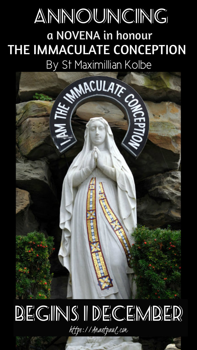 announcing a novena imm conception begins 1 dec by st Maximillian Kolbe 30 Nov 2019.jpg