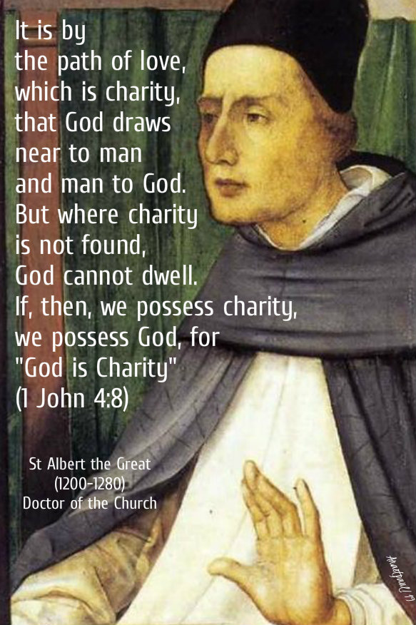 it is by the path of love - st albert the great 15 nov 2019