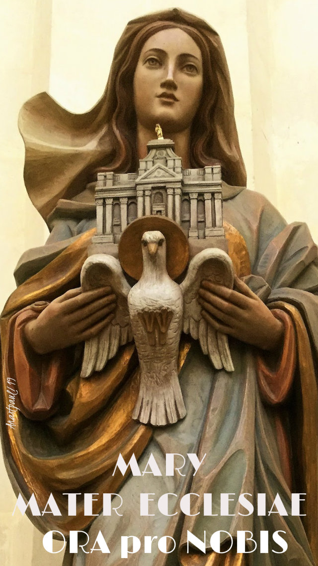 mary mater ecclesiae pray for 10 july 2019