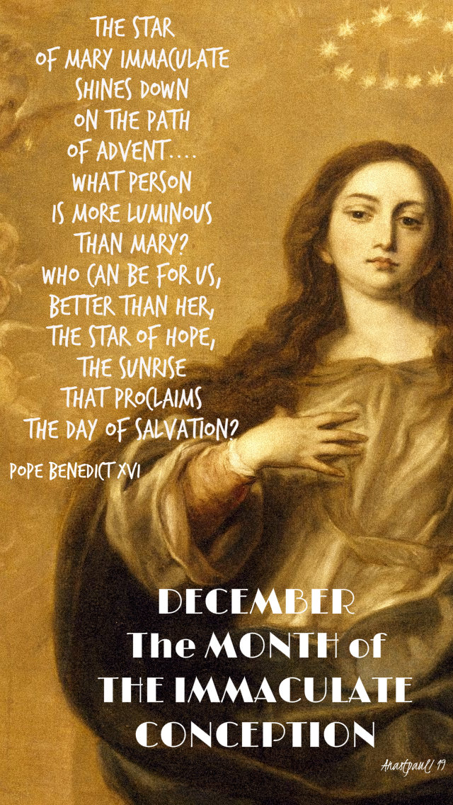 the star of mary immaculate shines down on the path of advent - pope benedict - dec month of the imm conception 1 dec 2019.jpg