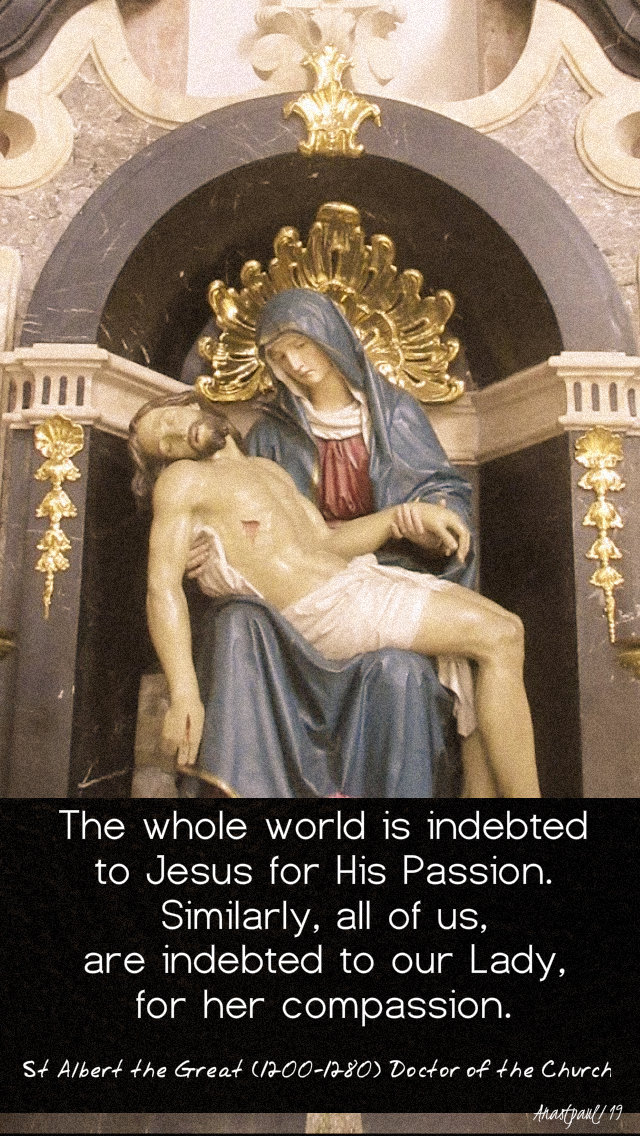 the whole world is indebted to jesus - st albert the great mary's compassion 15 nov 2019.jpg