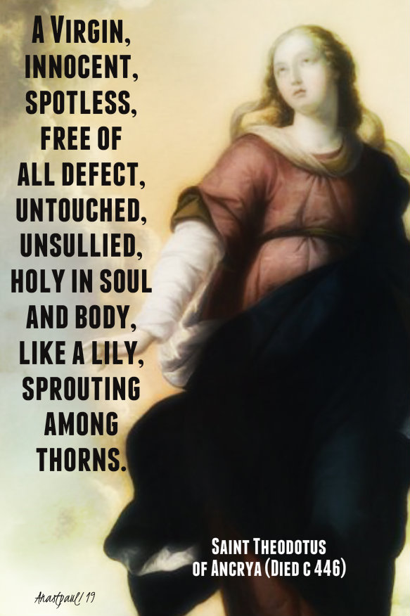 a virgin innocent and spotless - 9 dec 2019 imm conception st theodotus .jpg